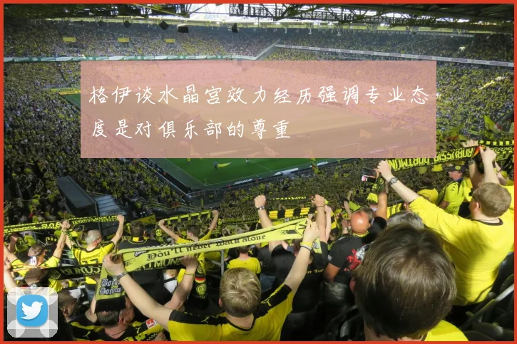 格伊谈水晶宫效力经历强调专业态度是对俱乐部的尊重