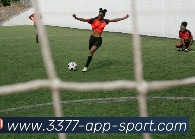 3377体育平台生态图